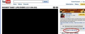 u tube download 2 300x121 The easiest single click method to download Youtube videos
